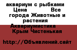 аквариум с рыбками › Цена ­ 15 000 - Все города Животные и растения » Аквариумистика   . Крым,Чистенькая